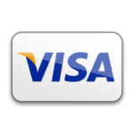 Visa Pay Logo