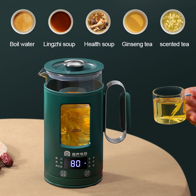 Portable Multifunction Electric Tea Kettle